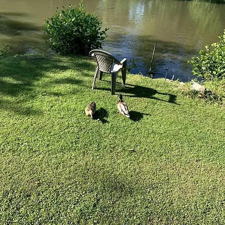 L'etang D'une Pause - Cote D'opale Chalet Marles-sur-Canche
